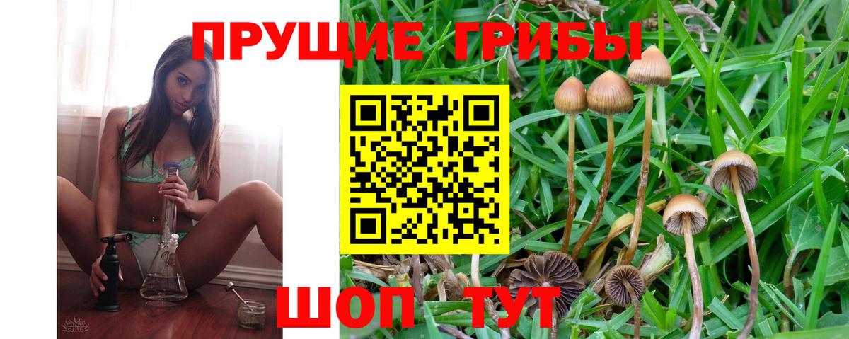 Галлюциногенные грибы прущие грибы Кумертау